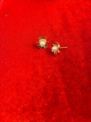 Pendientes de Flor