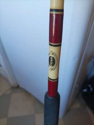 Caña Penn Special Senator 300cm