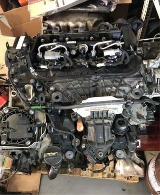 Motor 2.0 HDI Dw10 RH02 RHR despiece