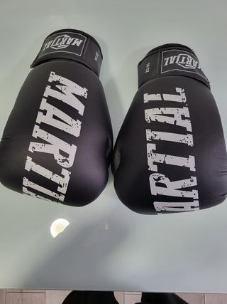 Saco y guantes de boxeo: Perfecto estado