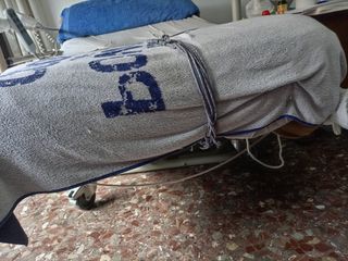 Se vende cama ortopédica con colchón