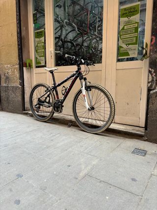 Bicicleta montaña Ferrini M