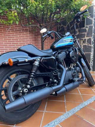 Harley Davidson Sportster Iron 1200