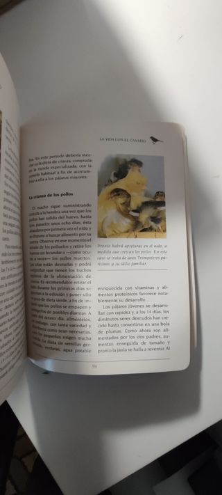 Libro los Canarios