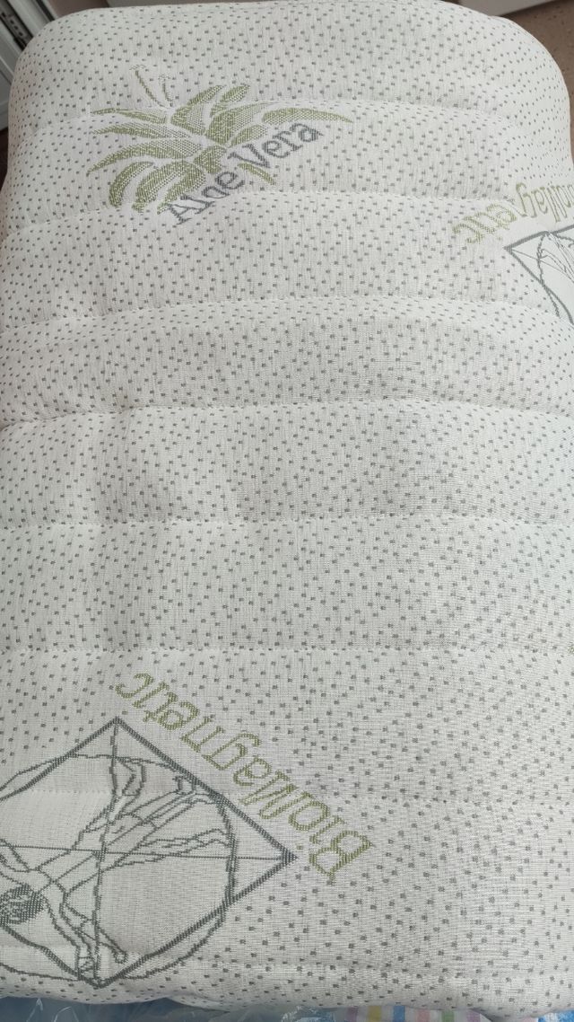 Base magnética Aloe Vera - nueva