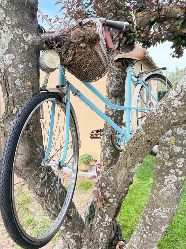 Bicicleta para restaurar