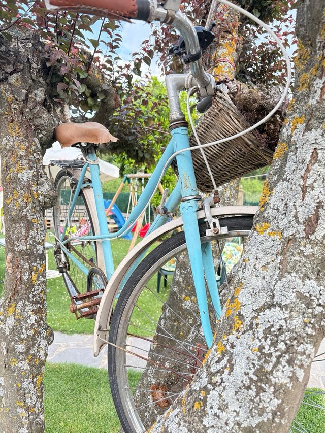 Bicicleta para restaurar