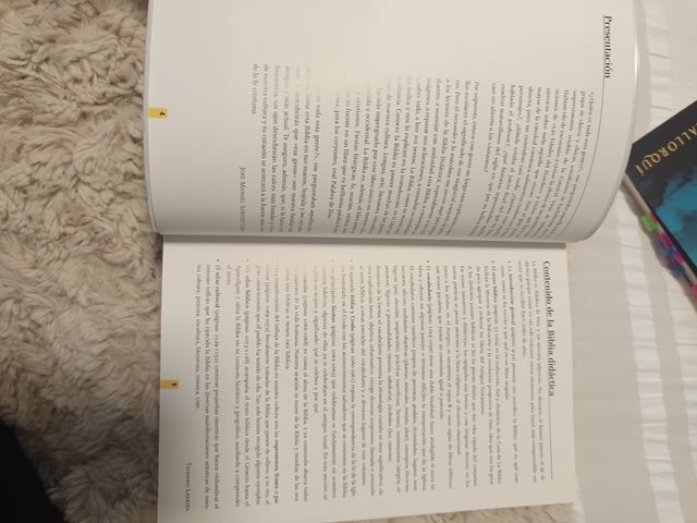 La Biblia didáctica