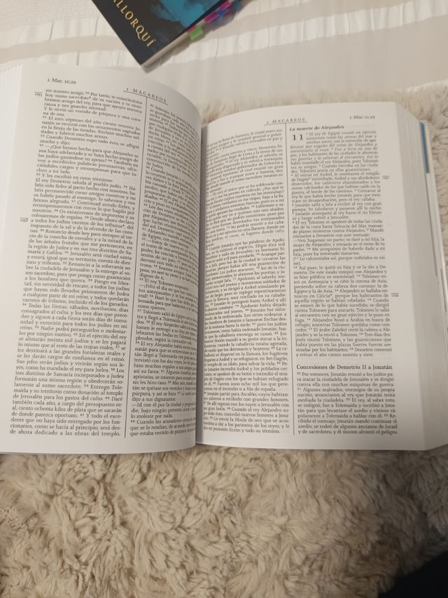 La Biblia didáctica