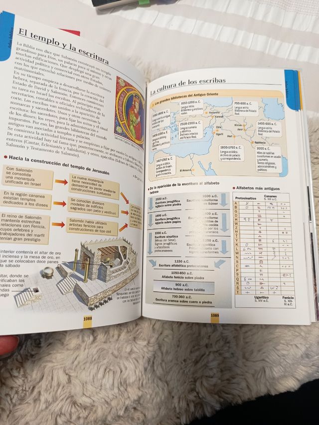 La Biblia didáctica