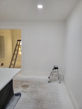 Pintor economico y profesional