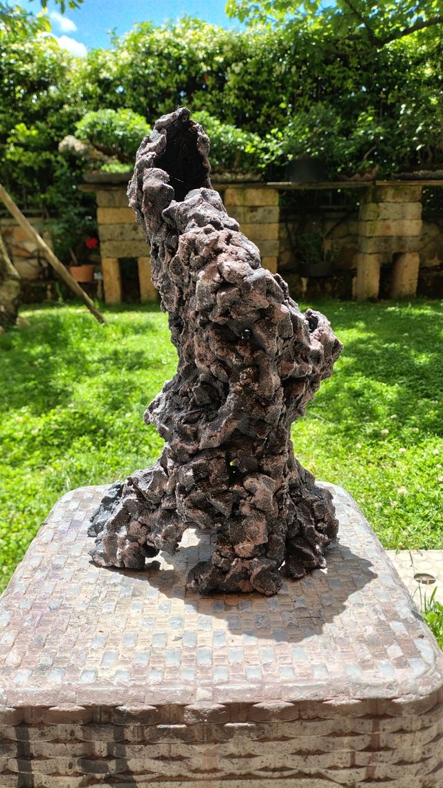 Struttura ishizuki bonsai