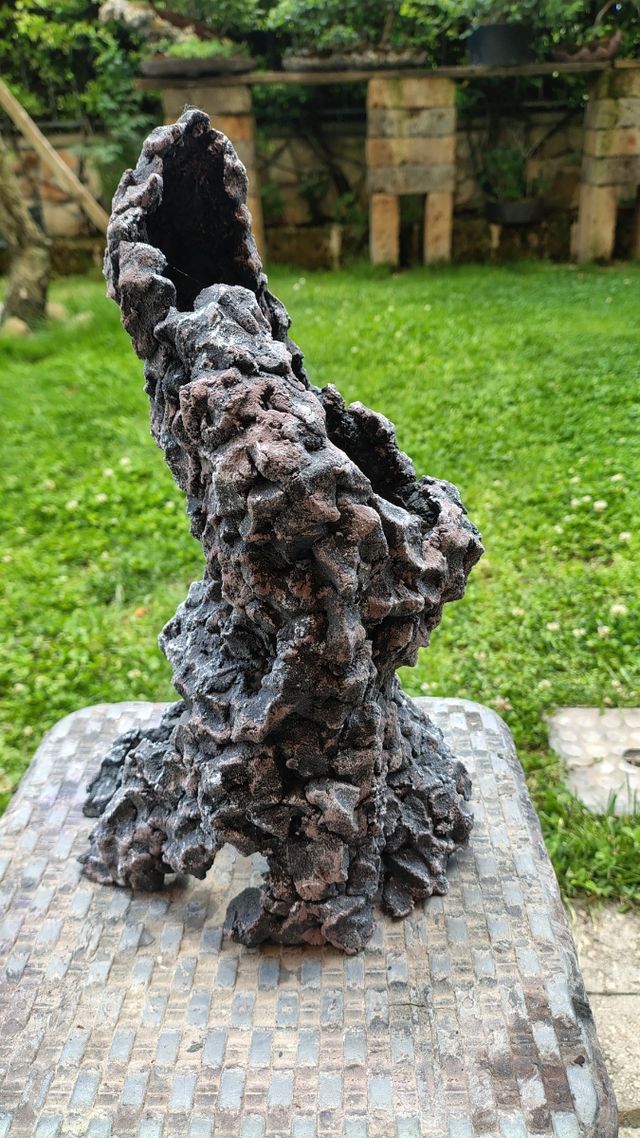 Struttura ishizuki bonsai