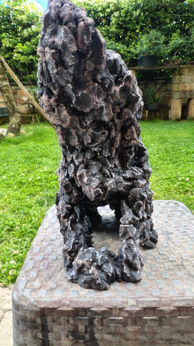 Struttura ishizuki bonsai