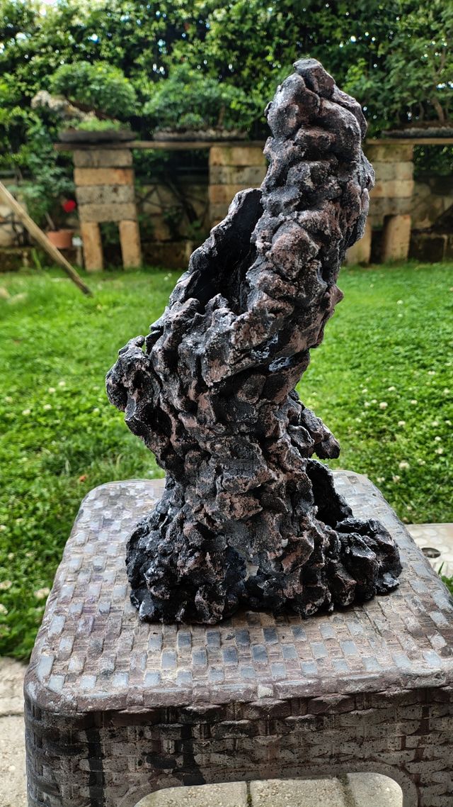 Struttura ishizuki bonsai