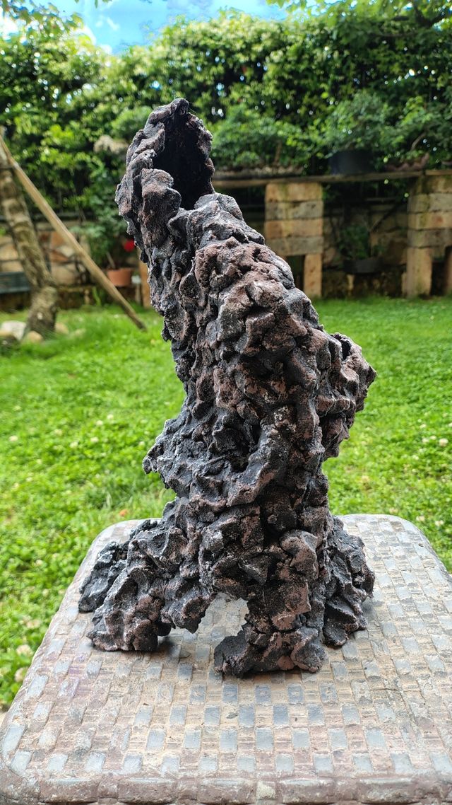 Struttura ishizuki bonsai