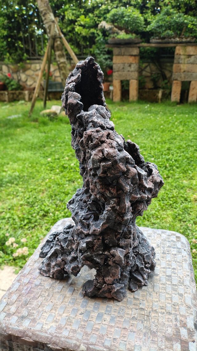 Struttura ishizuki bonsai