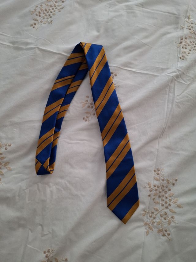 Corbata Wilson Hospital School