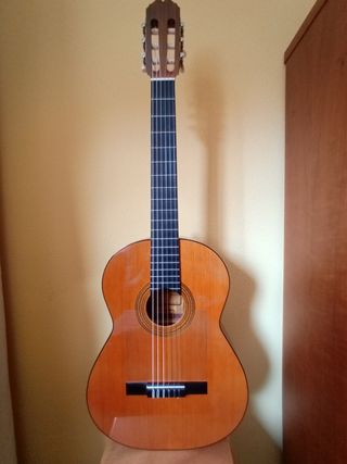 Guitarra española + funda 