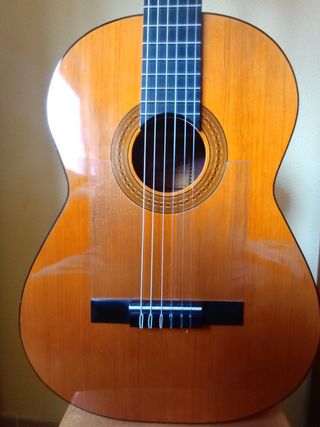 Guitarra española + funda 