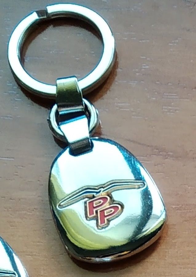 Lotes llaveros Partido Popular