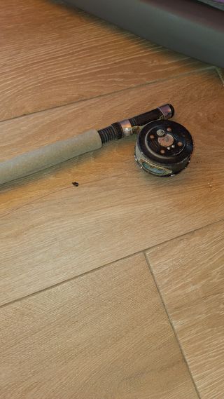 Caña Shakespeare Alpha Graphite