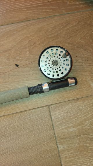 Caña Shakespeare Alpha Graphite