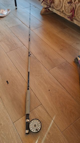 Caña Shakespeare Alpha Graphite