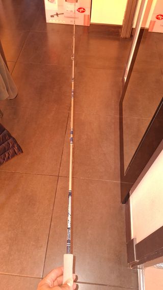 Caña Shakespeare Alpha Graphite