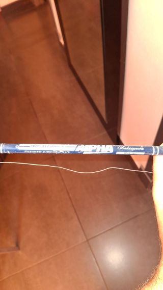 Caña Shakespeare Alpha Graphite