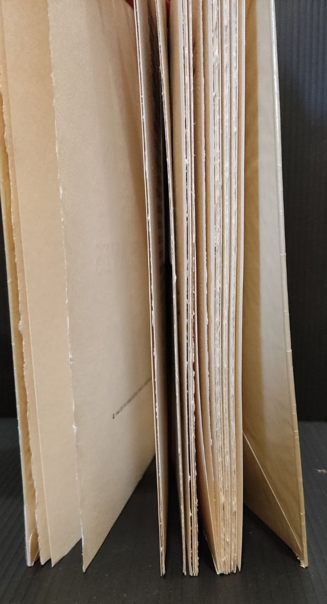 Libro "Les secrets des conclaves" Antiguo