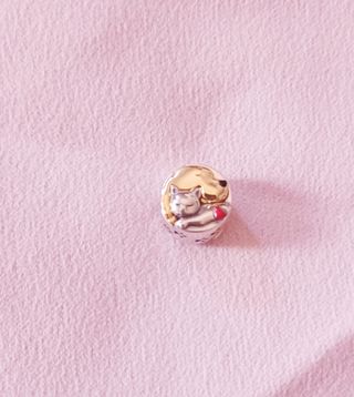 Charm Mascotas Perro y Gato 