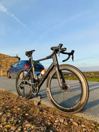 FACTOR ONE