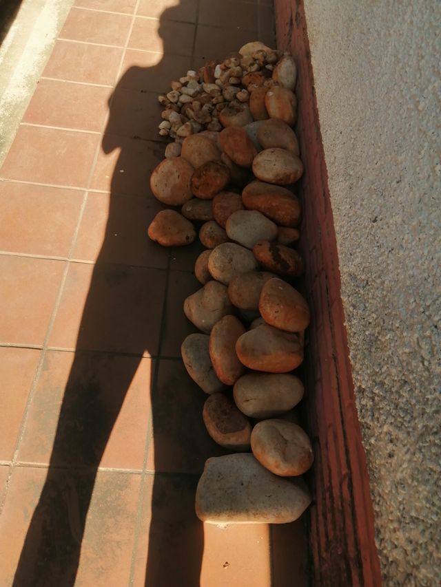 Chinos decorativos(NEGOCIALE)