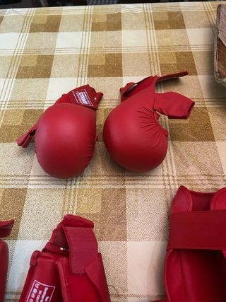 Lote de protecciones de taekwondo