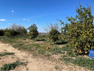 Parcela 5750m² Don Rodrigo - Casa 70m²