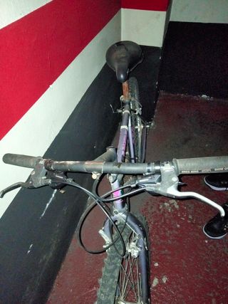 Bicicletas 