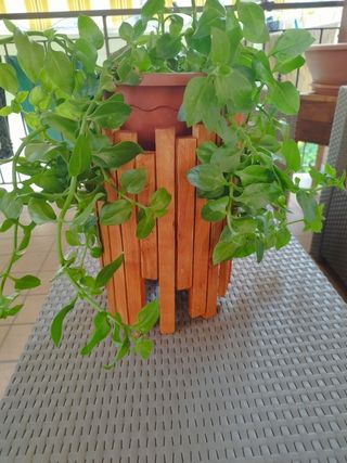 Portapiante in legno da arredo