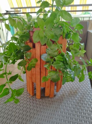 Portapiante in legno da arredo