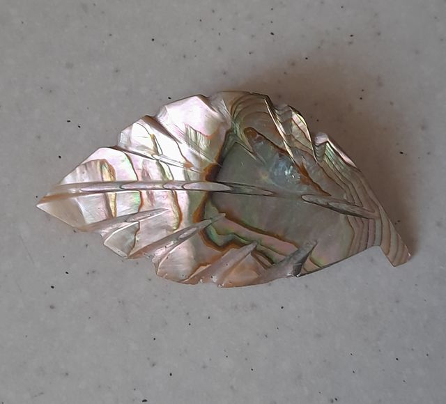 Spilla vintage abalone