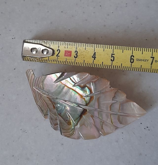 Spilla vintage abalone