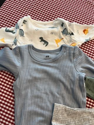 Lote Bodys 1-3 Meses