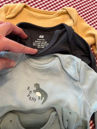 Lote Bodys 1-3 Meses