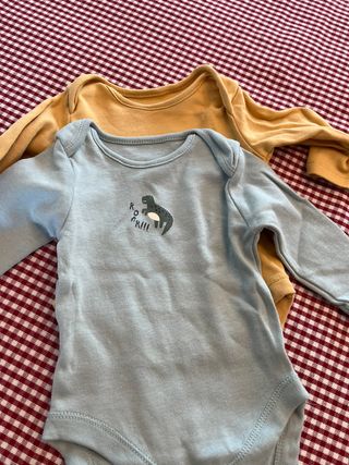 Lote Bodys 1-3 Meses