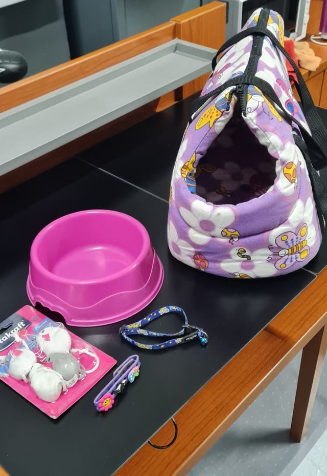 Transportin y comedero