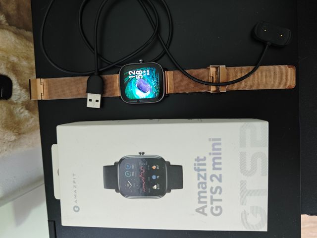 Amazfit GTS2 Mini 