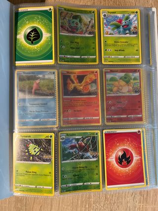 Cartas pokemon
