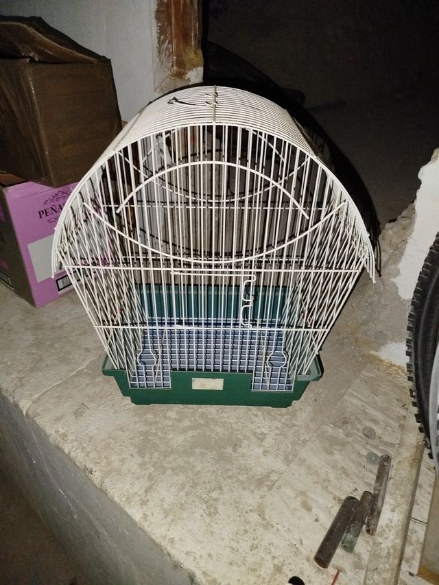 Jaula pájaros - Verde y Blanca