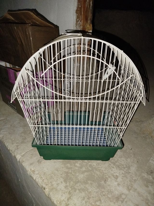 Jaula pájaros - Verde y Blanca
