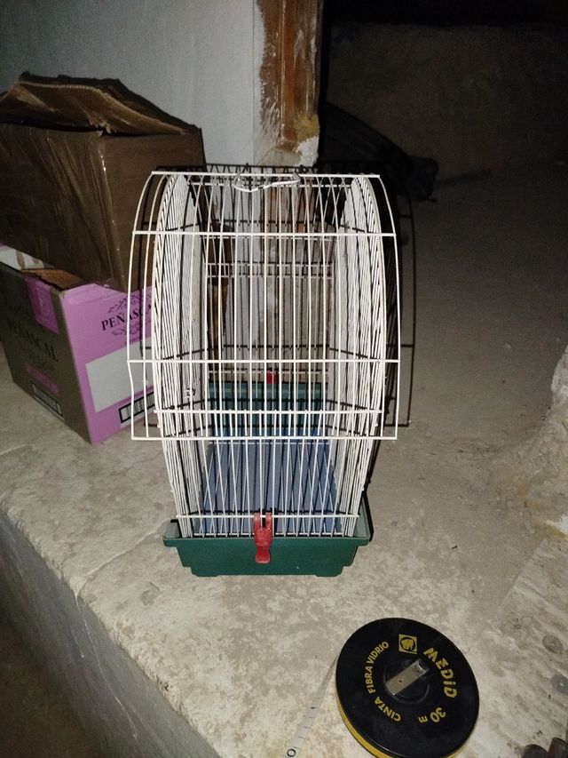 Jaula pájaros - Verde y Blanca